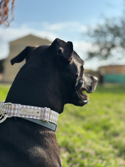 Collar